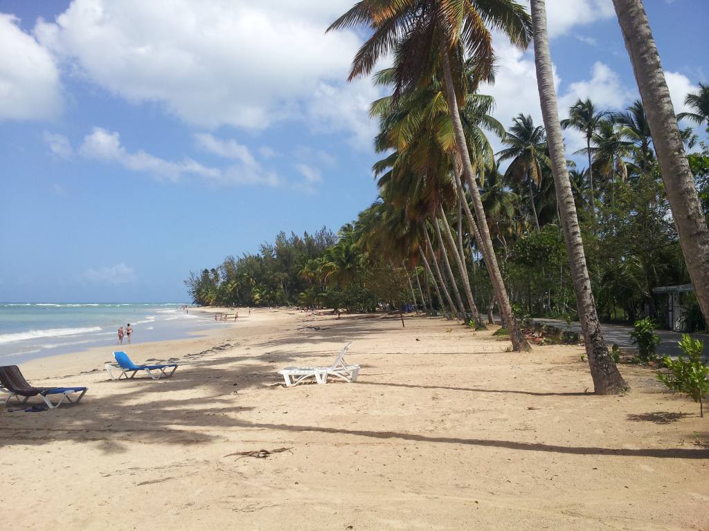 Las Terrenas Beach with clear turquoise water and soft white sand, ominican Republic.