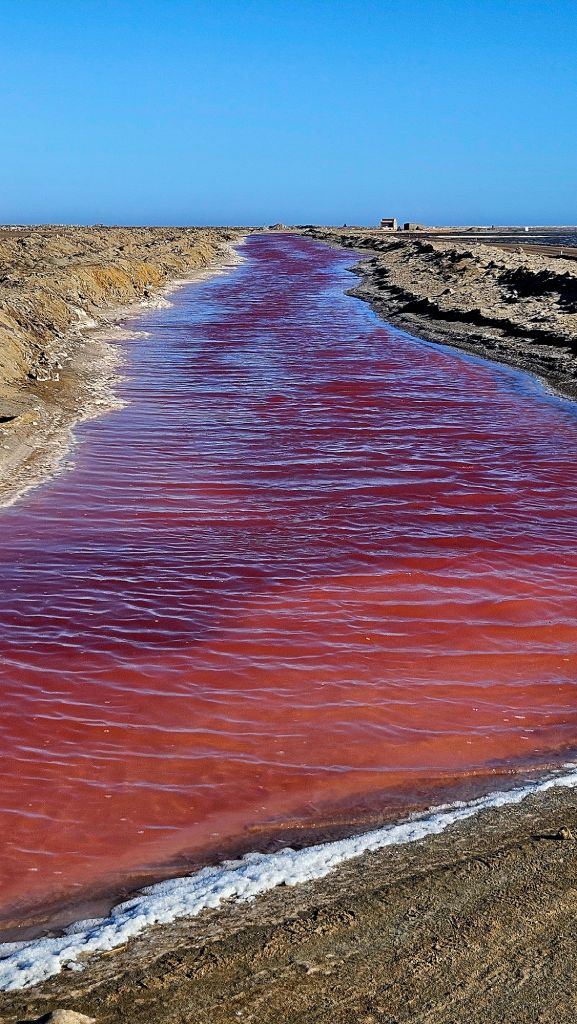 Walvis_Bay_pink_lake