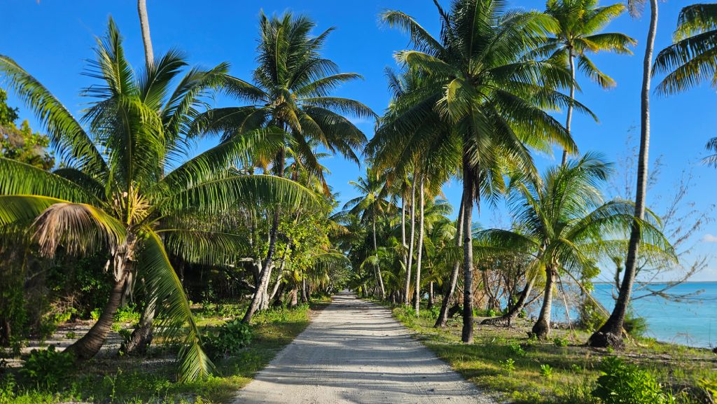 Abaiang_path_lush_palm_trees