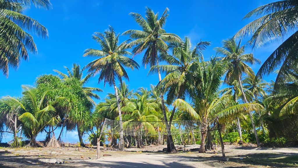 Abaiang_volleyball_court_palm_trees