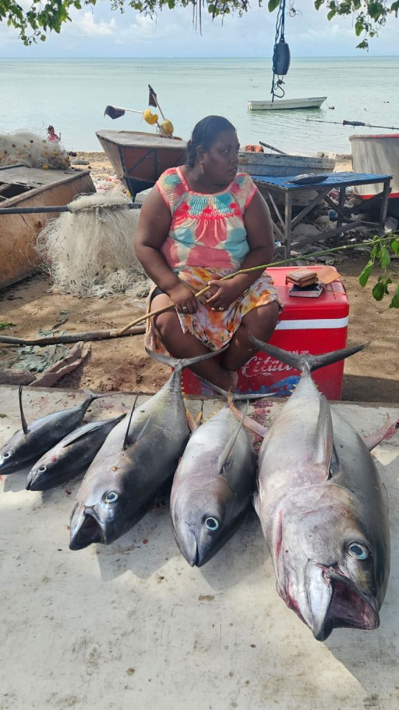 Tarawa_tuna_vendor