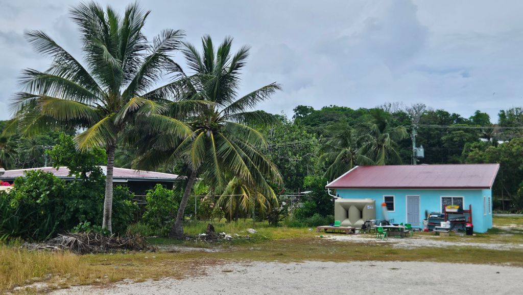 House with palm tree in Nauru tropical setting