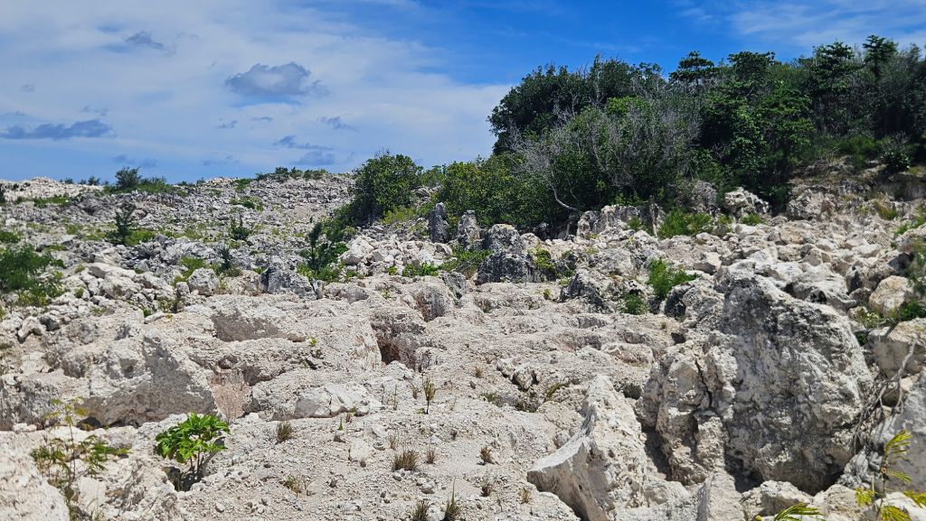 Phosphate_mining_site