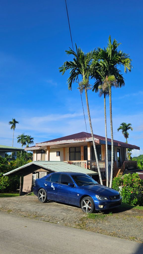 Koror_house_palm_tree
