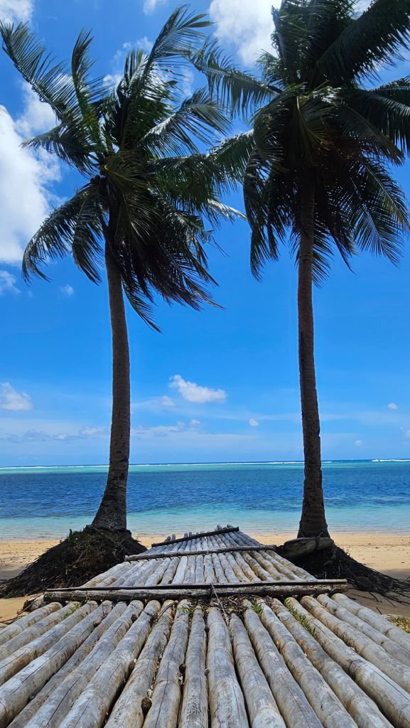 Ngchesar_palm_trees_raft