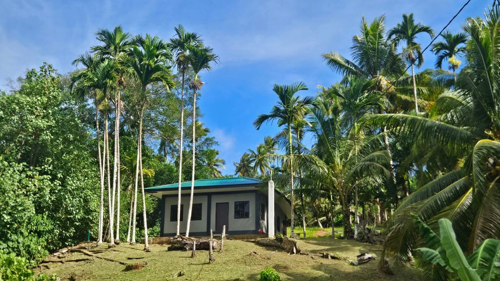 Palau_house_palm_tress