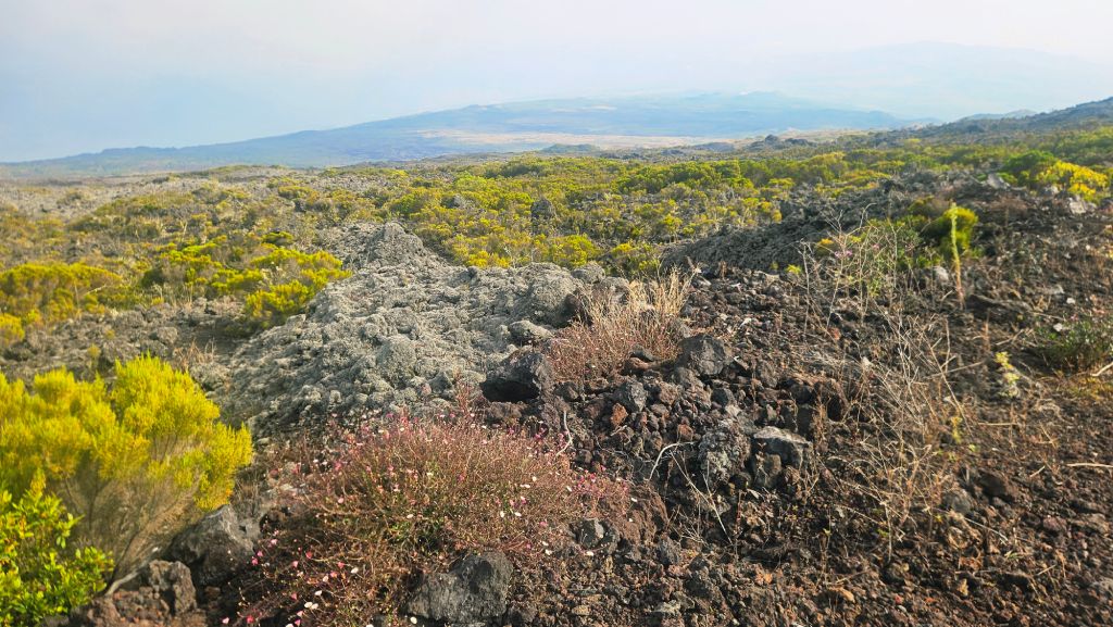 Volcanic rocks and bushes on Mount Karthala, Comoros