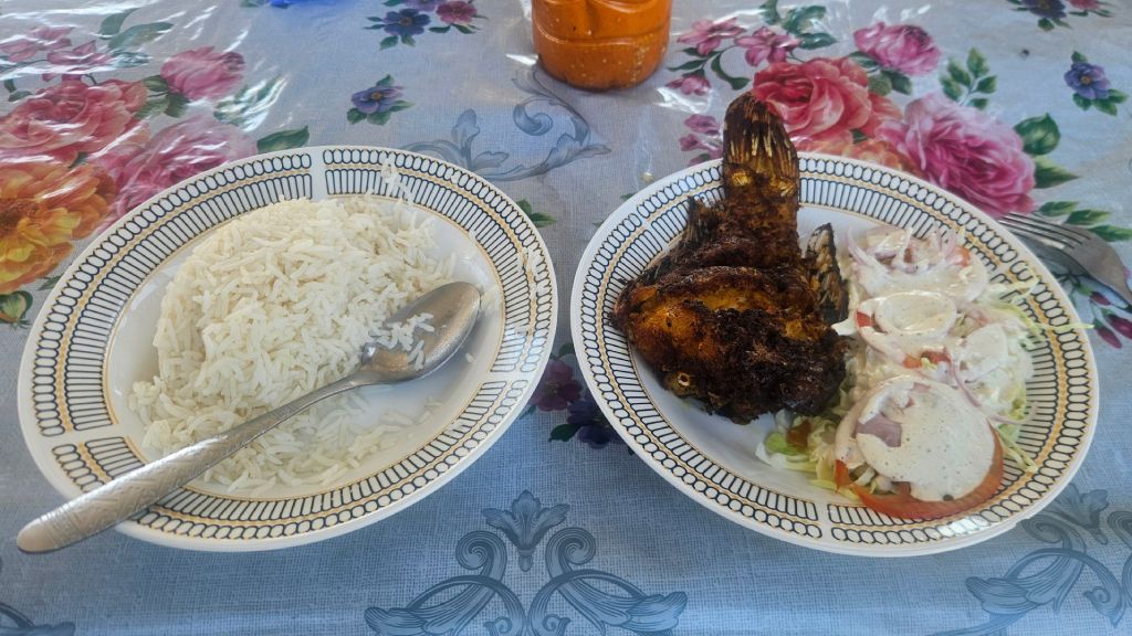 Fish_and_rice_with_salad