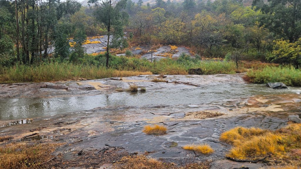 Eswatini_river_rain