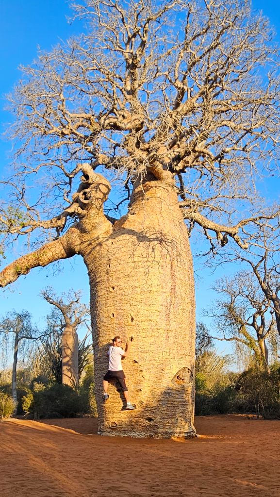 Reniala_Reserve_Rok