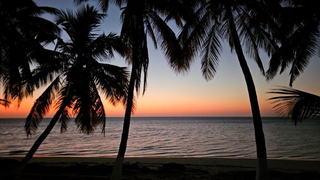 Mangily_sunset_palm_trees Palm trees silhouetted against the sunset on Mangily Beach, Madagascar