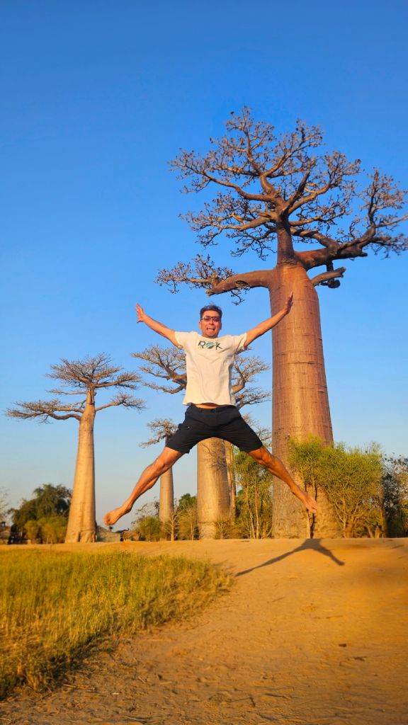 Avenue_of_the_Baobabs