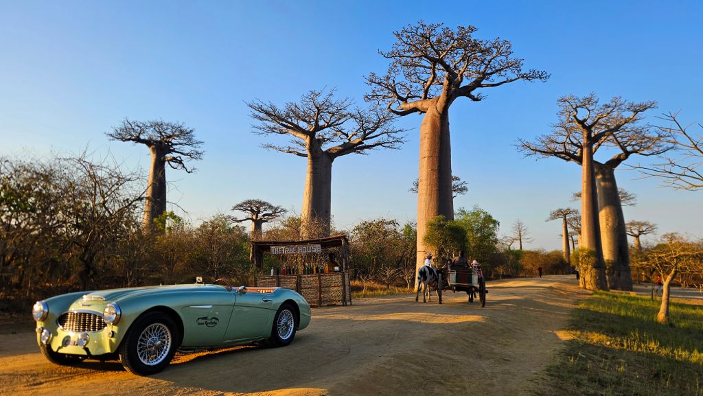 Vintage car at the Avenue of the Baobabs at sunset, Madagascar.