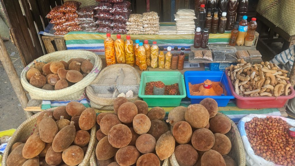 Morondava_baobab_fruits