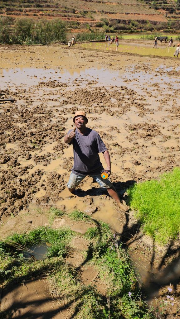 Rice_farmer Man standing in the middle of a muddy rice paddy, Madagascar