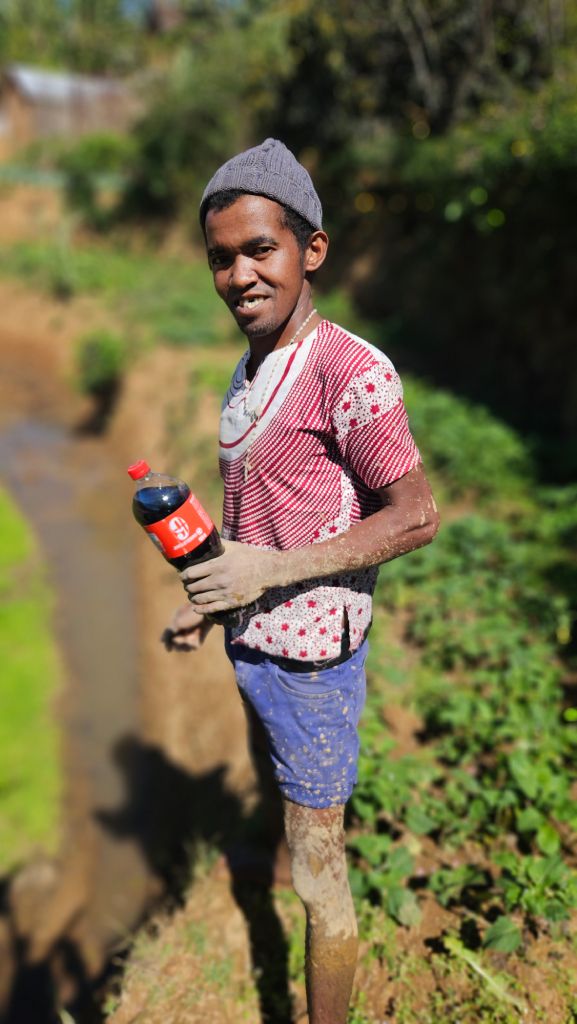 Rice farmer working in a muddy field in Madagascar