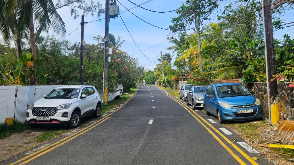Cars_parked_along_the_road