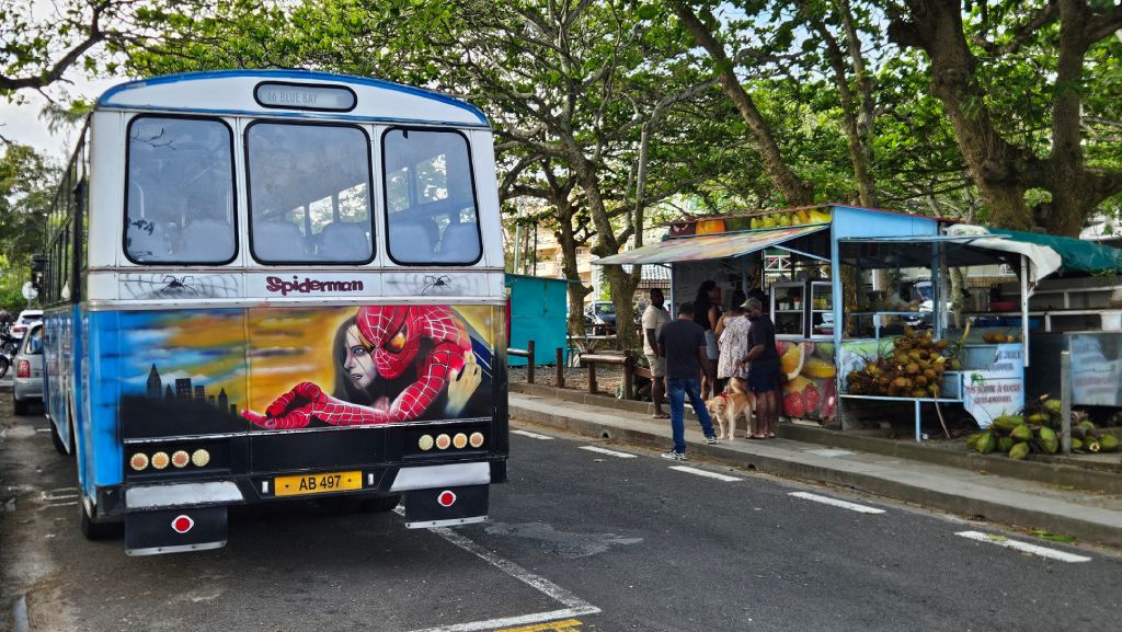 Blue_Bay_colorful_public_bus