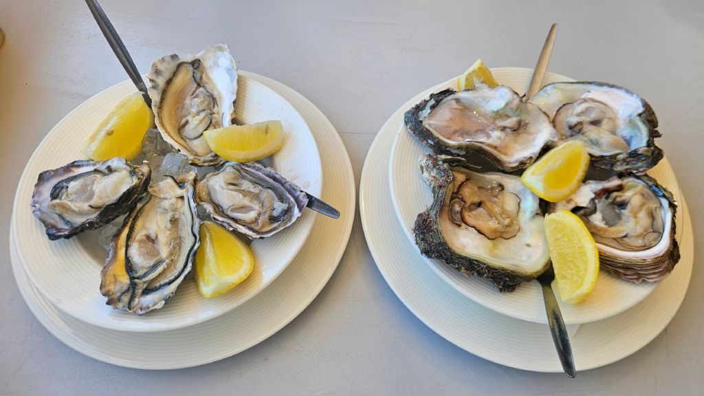 Plettenberg_Bay_fresh_raw_oysters